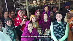 Advertising Work Video